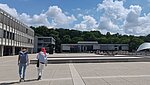 dekorativ